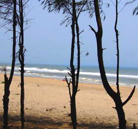 chandrabhaga-beach