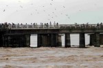 mahanadi-flood