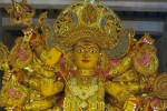 jani-mundia