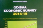 odisha-eco-survey