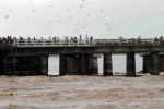 Mahanadi in spate Mahanadi in spate
