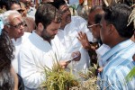 Congress will fight for cyclone-hit farmers of Odisha: Rahul Gandhi