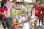 Gifting a tree to celebrate Valentine’s Day
