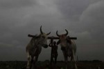 Monsoon clouds hover in Odisha Monsoon clouds hover in Odisha