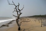 Rehabilitation of sea-erosion-hit villagers begins in Odisha