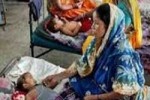 NHRC seeks report on Japanese Encephalitis deaths in Odisha NHRC seeks report on Japanese Encephalitis deaths in Odisha