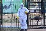 RSP takes precautionary measures to prevent avian influenza at IG Park RSP takes precautionary measures to prevent avian influenza at IG Park