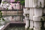 Gosagareswara temple in dire straits Gosagareswara temple in dire straits